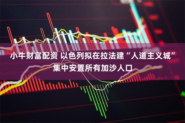 小牛财富配资 以色列拟在拉法建“人道主义城”集中安置所有加沙人口